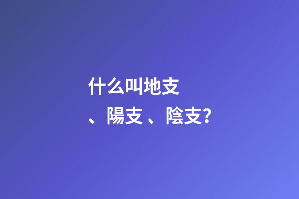 什么叫地支、陽支、陰支？